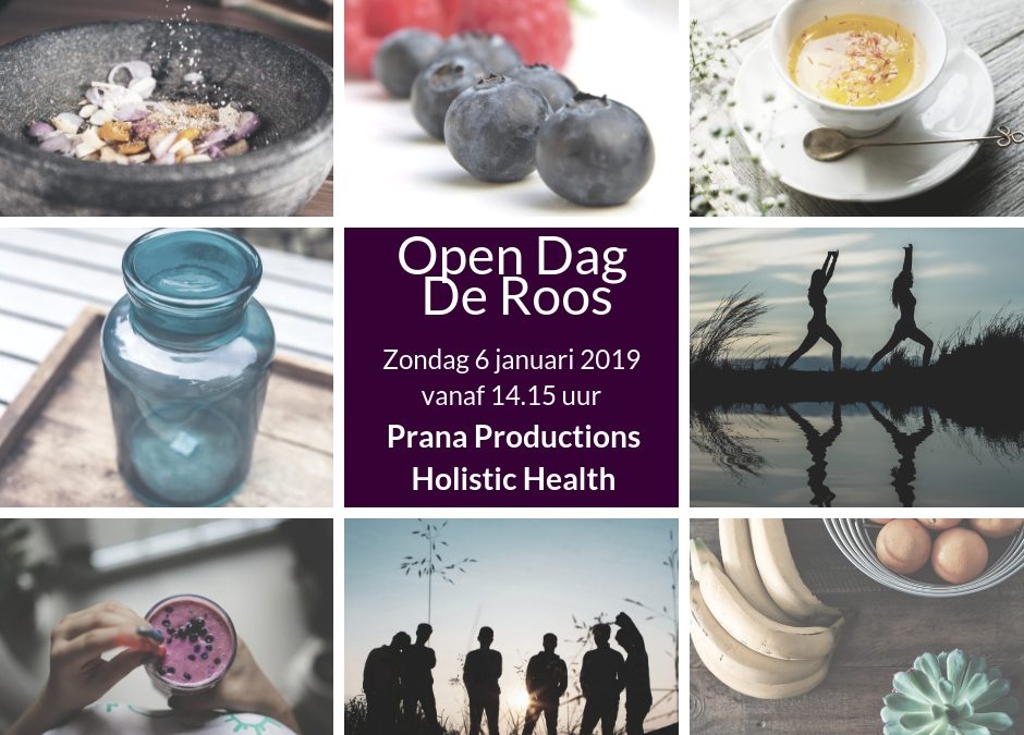 Open Dag De Roos - Vondelpark Amsterdam - Cosmic Chi
